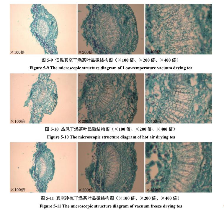 �͜���ո���F�^�����~�@΢�Y��Ӱ�